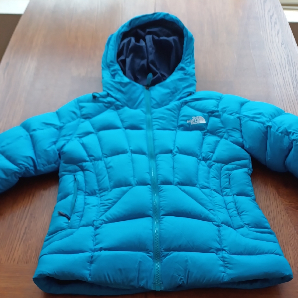 The North Face Teal Hooded Puffer Jacket